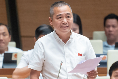 "Rất nhiều hàng chất lượng kém vẫn vượt khe cửa hẹp để trúng thầu giá rẻ"