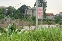 Nửa đêm vẫn có người đập cửa hỏi mua, sốt đất "tàn phá" nhiều khu vực