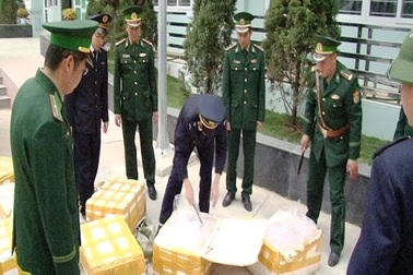 Phát hiện nửa tấn nầm lợn nhập lậu từ Trung Quốc