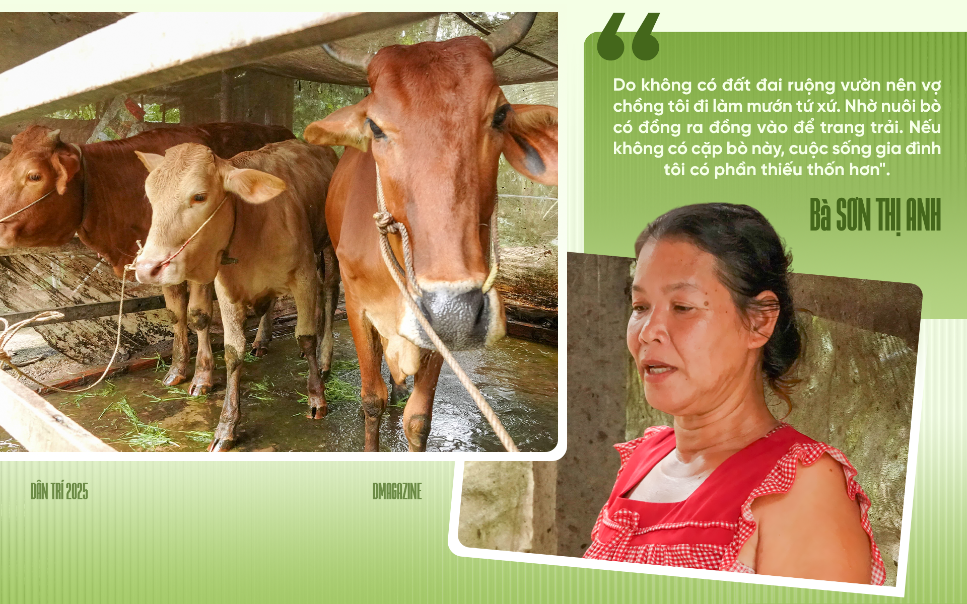 Người Khmer thoát nghèo bền vững nhờ Chương trình Mục tiêu quốc gia - 5 Người Khmer thoát nghèo bền vững nhờ Chương trình Mục tiêu quốc gia - 5