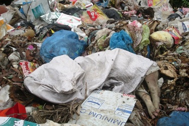 “Thủ phủ” nuôi lợn lớn nhất miền Bắc ngập... xác lợn