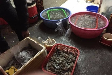 Hà Nội: Bắt quả tang cơ sở đang bơm tạp chất vào tôm