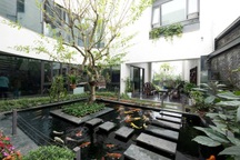 Biệt thự ở Hà Nội mát rượi quanh năm nhờ vườn cây phủ kín mặt tiền