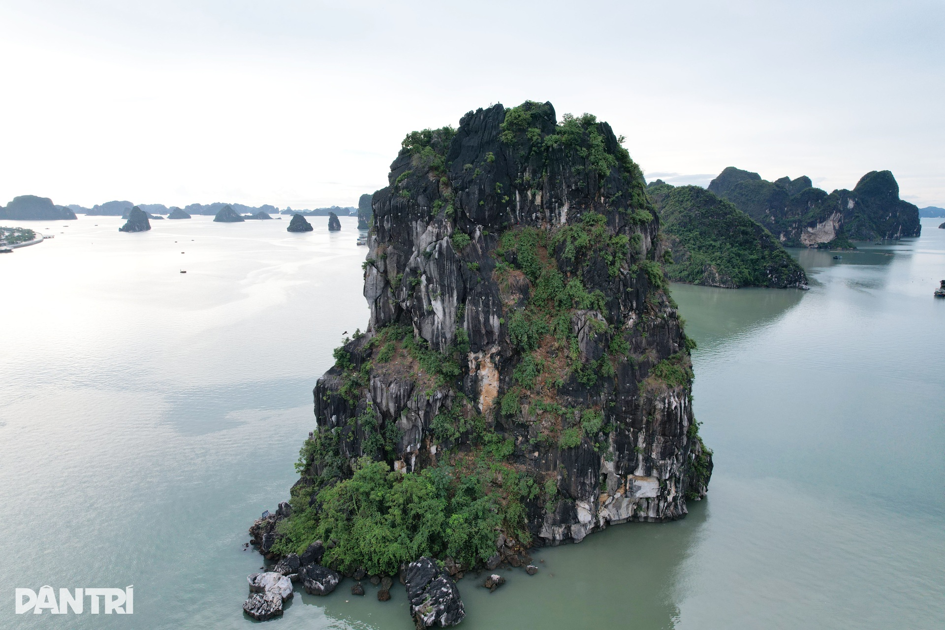 Tháo dỡ dàn đèn nghệ thuật 140 tỷ đồng vô dụng ở Vịnh Hạ Long - 6 Tháo dỡ dàn đèn nghệ thuật 140 tỷ đồng vô dụng ở Vịnh Hạ Long - 6