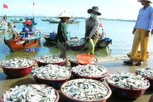 Lập quy hoạch bảo vệ và khai thác nguồn lợi thuỷ sản