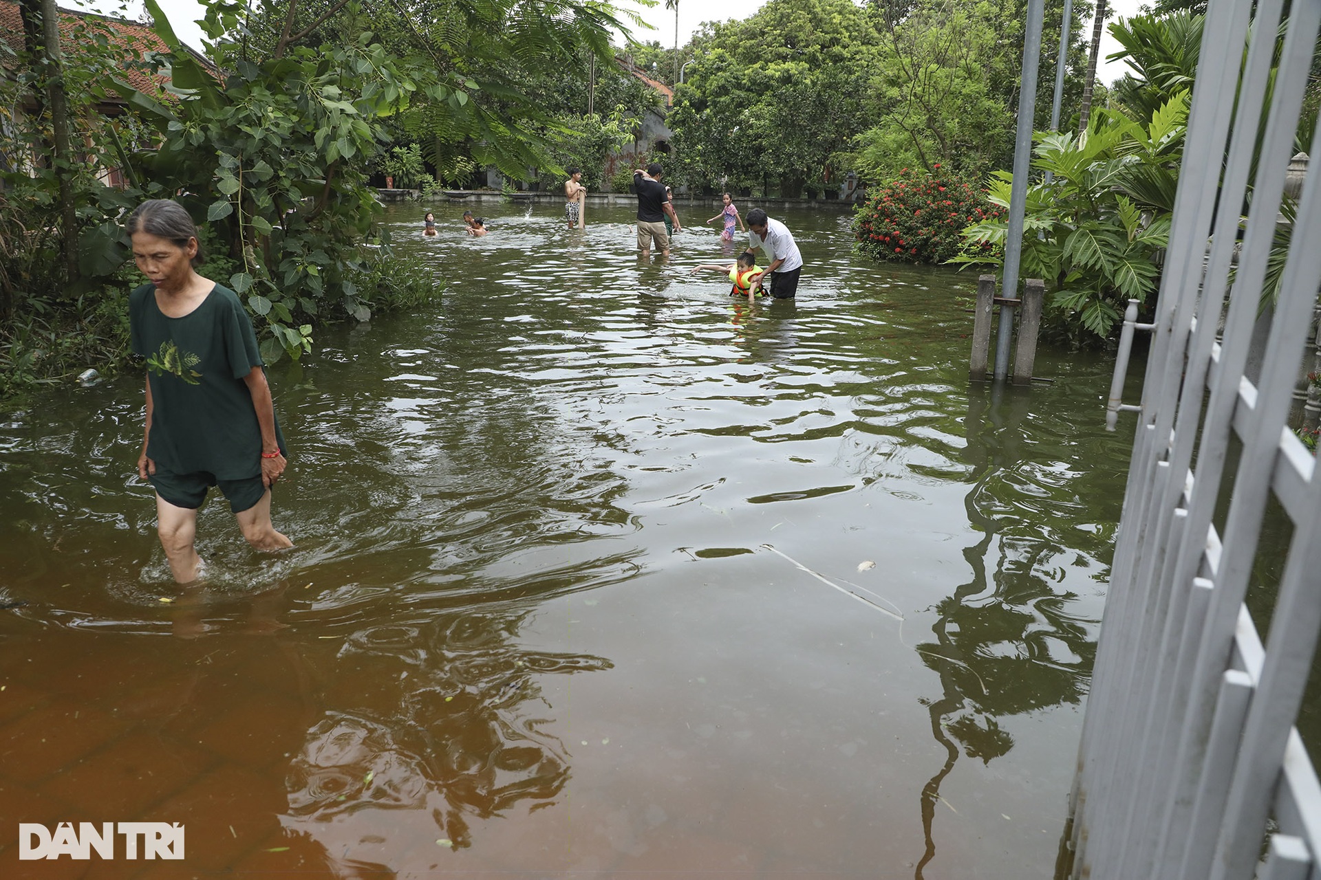 View - Hanoi village isolated by flooding | DTiNews - Dan Tri International, the news gateway of Vietnam