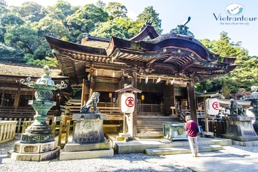 Tour Nhật - Chào năm mới siêu khuyến mãi