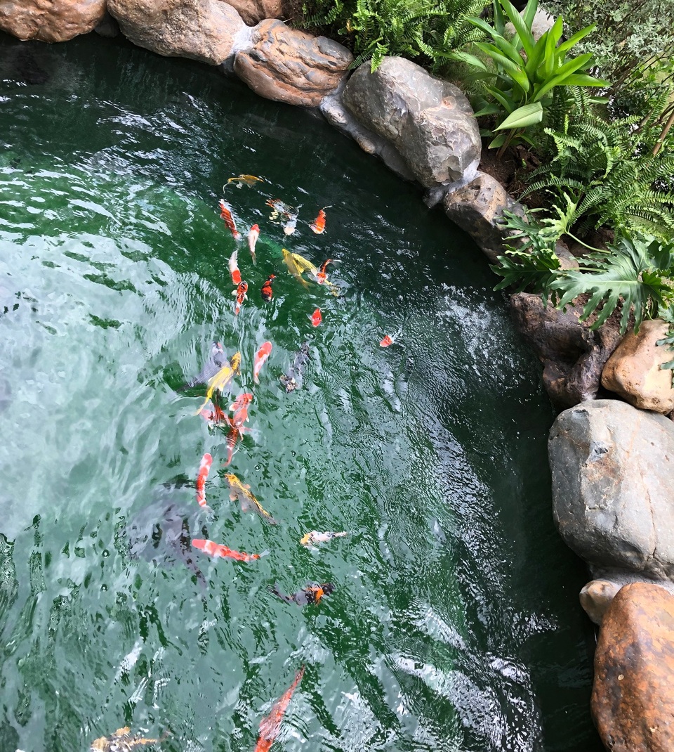 Chiêm ngưỡng biệt thự vườn đẹp như mơ của cặp vợ chồng trẻ Hà Nội - 12