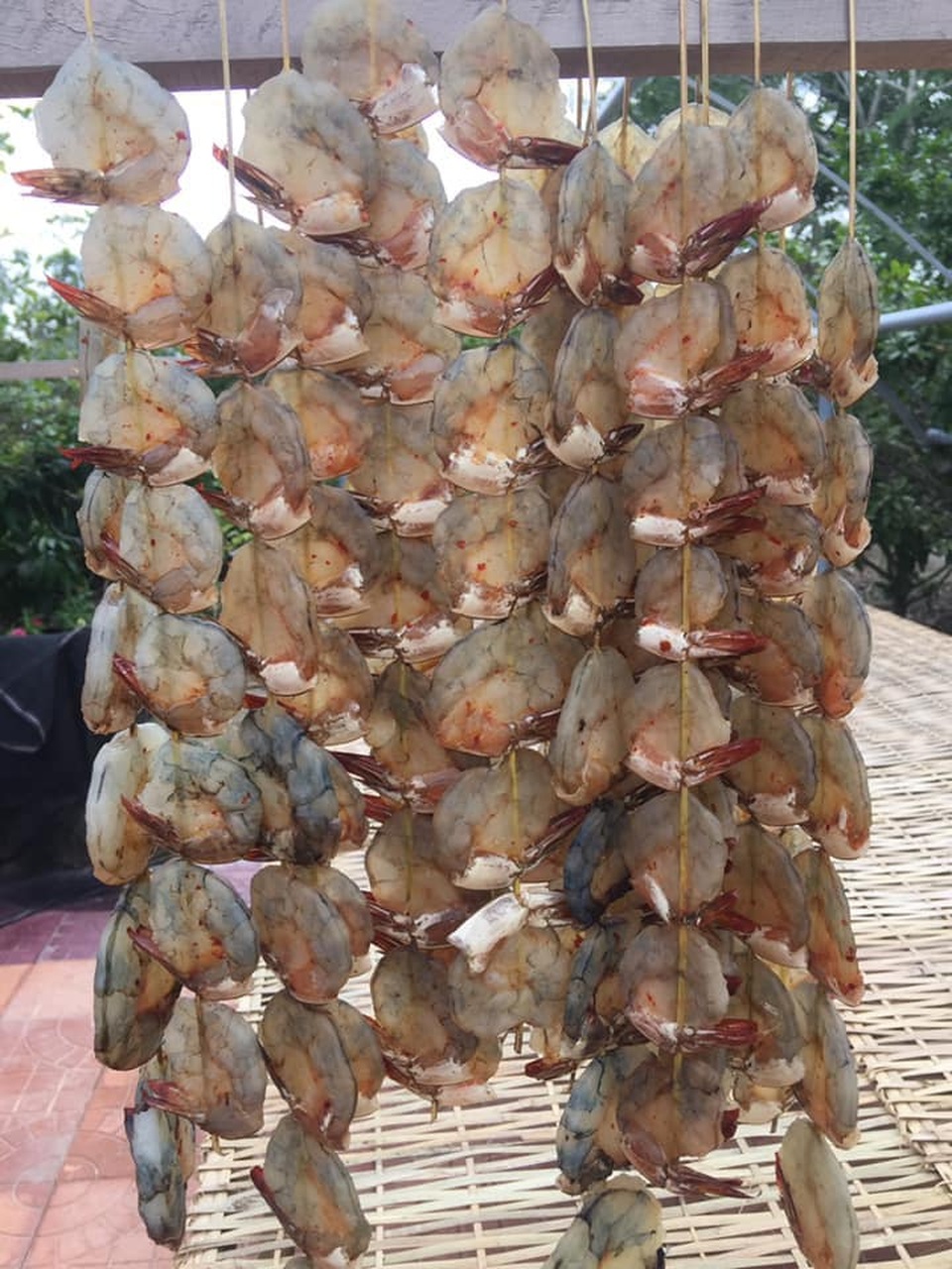 Con làm nghề lông bông, cha mẹ liệu có nên đau khổ? - 3 Con làm nghề lông bông, cha mẹ liệu có nên đau khổ? - 3