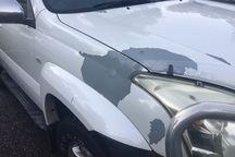 Khách hàng kiện Toyota vì xe Corolla màu trắng bị bong tróc sơn dưới nắng