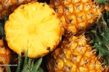 Dứa có thể giúp chống lại những siêu vi khuẩn kháng thuốc