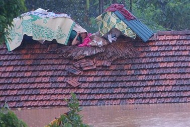 Đắng lòng vì lũ