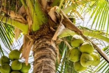 Những công việc kì quặc lại có mức lương cao không tưởng