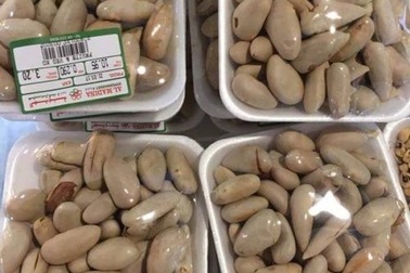 Hạt mít ở Nhật 200.000 đồng/kg, Việt Nam thời này chỉ vứt đi