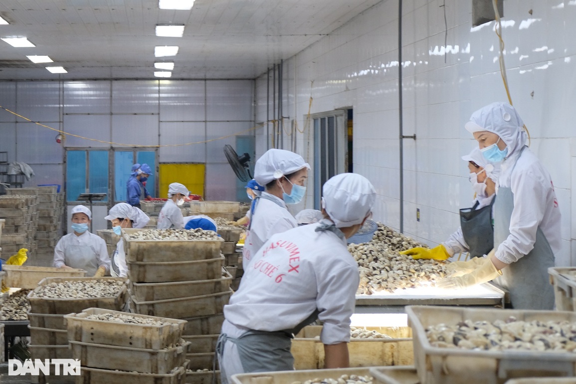 Dùng nhiều chiêu thu hút, doanh nghiệp vẫn khó tuyển lao động - 2 Dùng nhiều chiêu thu hút, doanh nghiệp vẫn khó tuyển lao động - 2