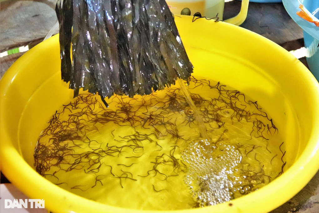 8X chế máy ấp trứng lươn giá 3 tô phở, cứ 5 ngày lại thu tiền triệu - 6 8X chế máy ấp trứng lươn giá 3 tô phở, cứ 5 ngày lại thu tiền triệu - 6