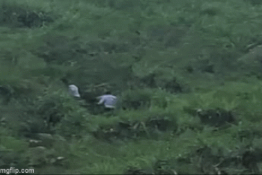 4 ngư dân băng rừng trốn khỏi khu phong tỏa