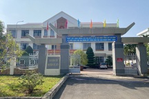 Cách chức Trưởng phòng Tư pháp bứng trộm cây hoa giấy