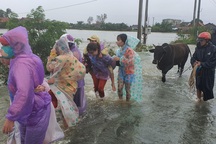 Phú Yên mưa lớn, lũ lên nhanh, dân vội vàng đi sơ tán