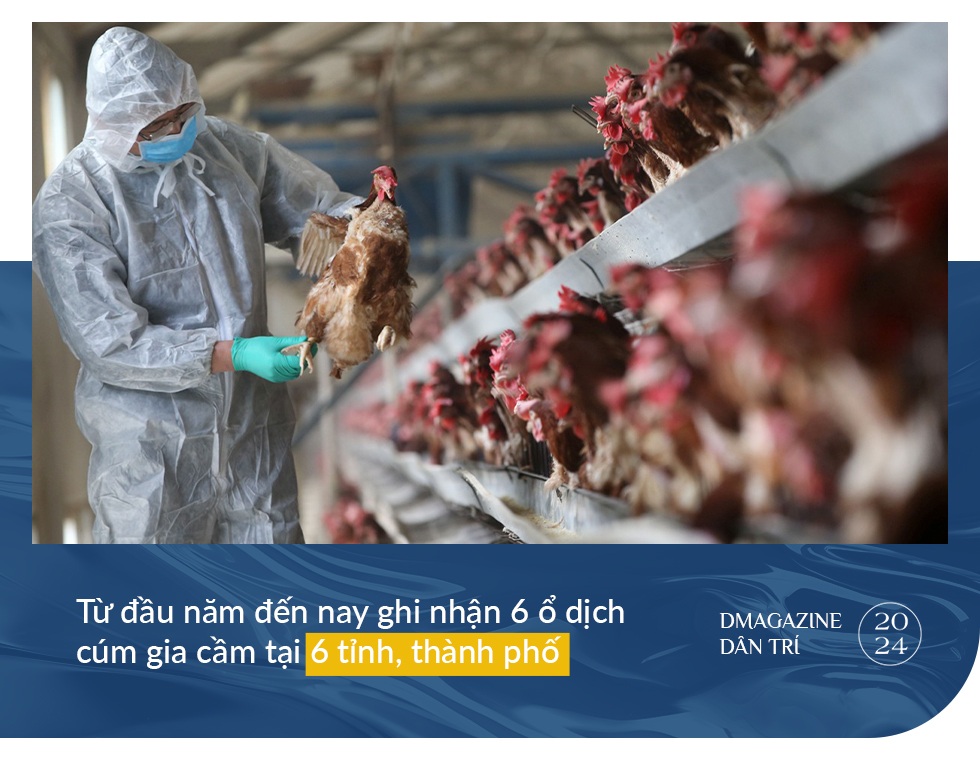 Mầm họa từ bầu trời khiến nửa số bệnh nhân tử vong - 11 Mầm họa từ bầu trời khiến nửa số bệnh nhân tử vong - 11