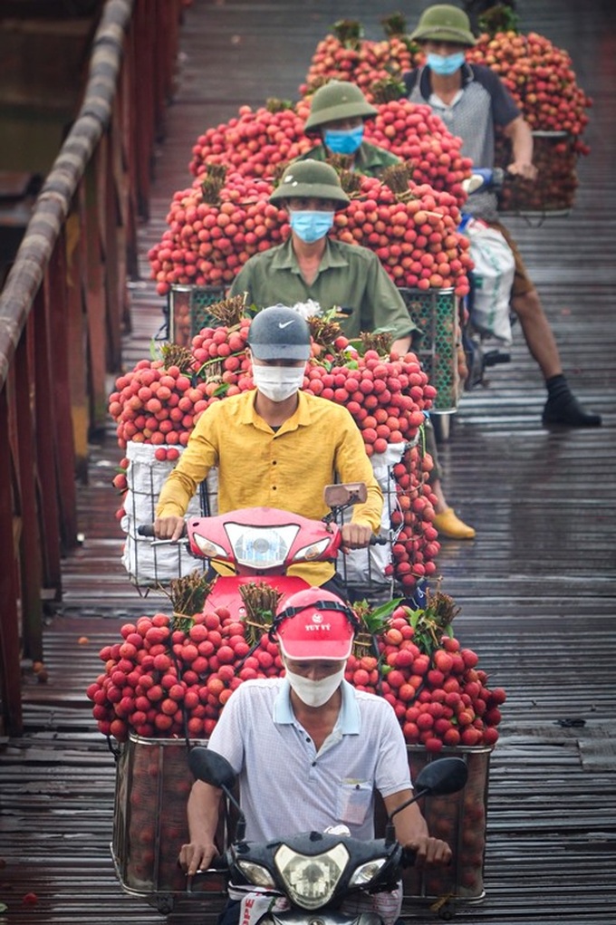 Người dân chở vải thiều đi tiêu thụ.