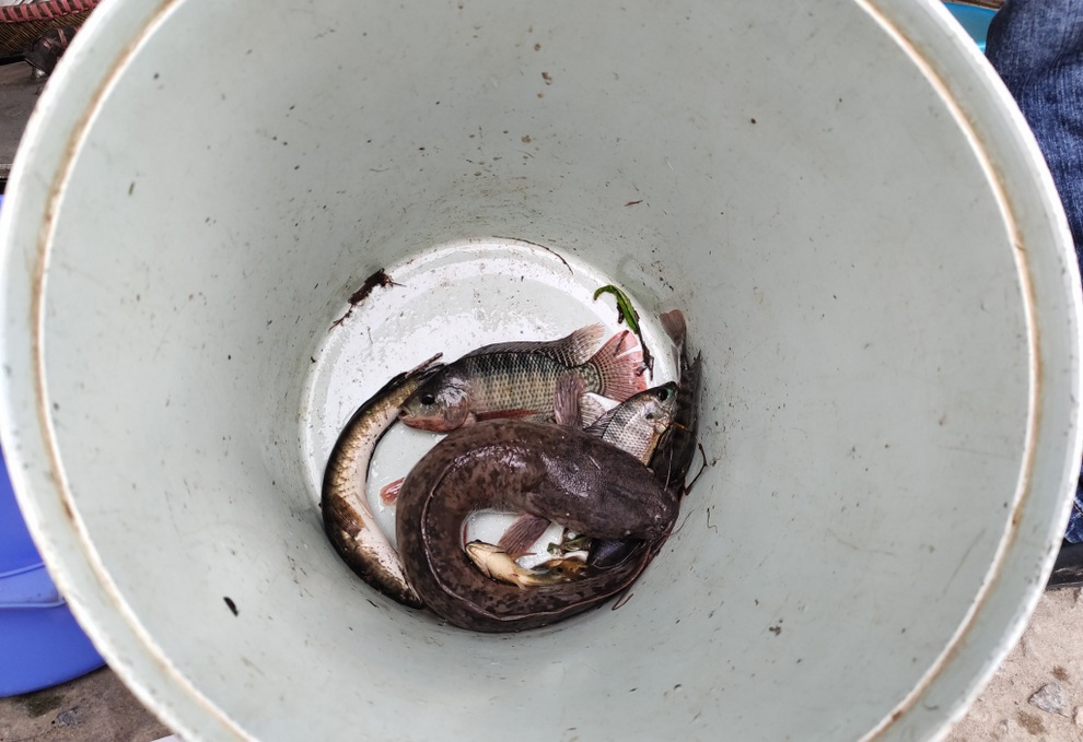 Lao động ngoại tỉnh mắc kẹt ở Hà Nội vì đại dịch Covid-19 - 6 Lao động ngoại tỉnh mắc kẹt ở Hà Nội vì đại dịch Covid-19 - 6