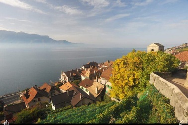 Đến Lavaux khi mùa nho chín