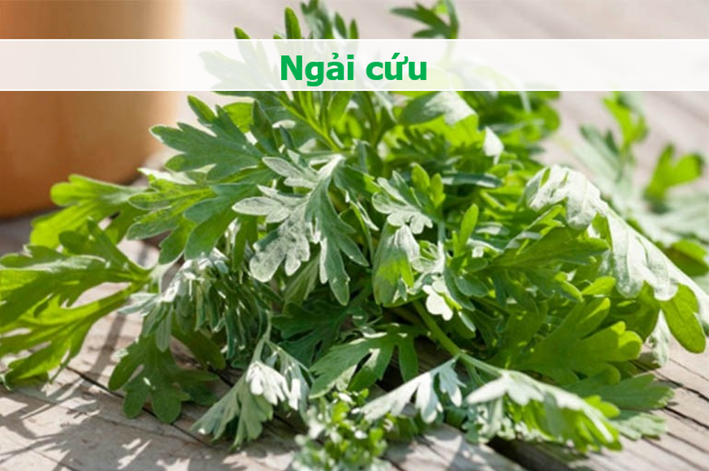 4 món đắng ngắt nhưng đại bổ vừa ngừa ung thư, vừa đốt mỡ thừa - 2 4 món đắng ngắt nhưng đại bổ vừa ngừa ung thư, vừa đốt mỡ thừa - 2