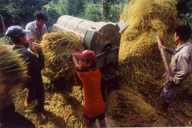 Dự án bảo tồn Phong Nha - Kẻ Bàng sẽ “chết yểu” nếu...