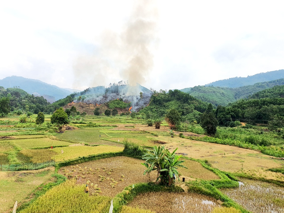 Vụ cháy hơn 32 ha rừng phòng hộ: Nghi án đốt rẫy gây cháy lan - 4 Vụ cháy hơn 32 ha rừng phòng hộ: Nghi án đốt rẫy gây cháy lan - 4