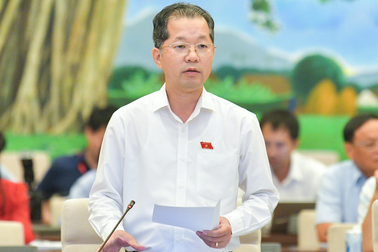 Bí thư Đà Nẵng: Chấp nhận rủi ro khi thí điểm Khu thương mại tự do