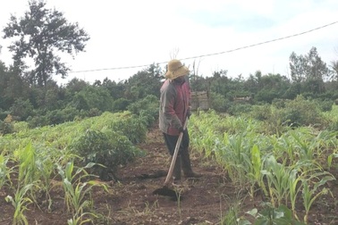 Vụ nhiều giáo viên thắng kiện nhà trường: Mòn mỏi chờ bồi thường