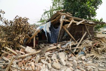 Tháo dỡ quán đòi thu phí khách chụp ảnh cây gạo tại Hà Nam