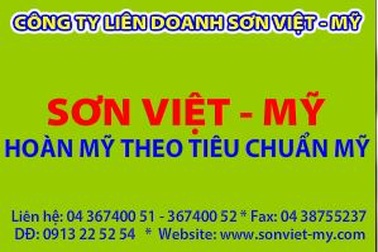Sơn Việt Mỹ - một năm nhìn lại