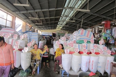 Hóa chất độc hại phù phép gạo mốc