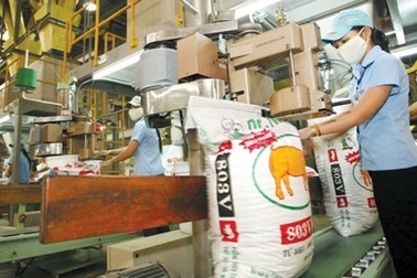 Chi 2 tỷ USD nhập nguyên liệu thức ăn, ngành chăn nuôi ngày càng phụ thuộc