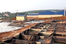 Đình chỉ hoạt động công ty mủ cao su “bức tử” môi trường