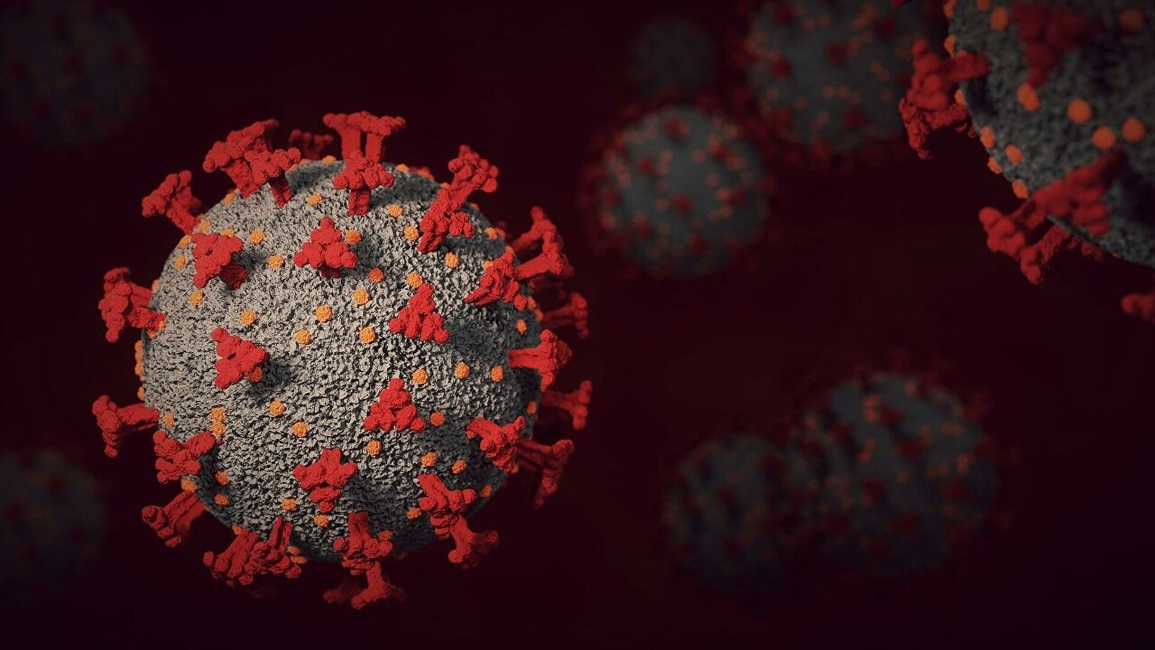 Phát hiện thêm 9 chủng virus corona mới - 1 Phát hiện thêm 9 chủng virus corona mới - 1