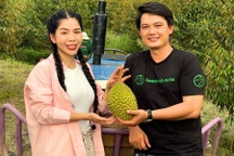 Bất ngờ với số đơn sầu riêng bị hoàn sau phiên livestream của Hằng Du Mục