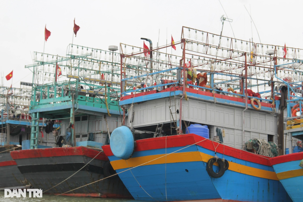 Điều gì khiến ngư dân càng vươn khơi càng thua lỗ? - 1 Điều gì khiến ngư dân càng vươn khơi càng thua lỗ? - 1