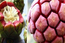 Hà Thành ăn lạ: Na rừng "khủng" nặng tới 4kg - quà rừng cho đàn ông, tiền triệu/quả