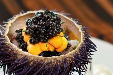 Lạ miệng với “thần dược” tiến vua của miền biển