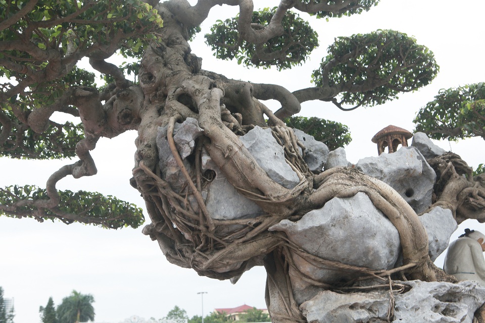 Ngỡ ngàng với huyền thoại sanh cổ ký đá kỳ vĩ nhất Việt Nam - 8 Ngỡ ngàng với huyền thoại sanh cổ ký đá kỳ vĩ nhất Việt Nam - 8