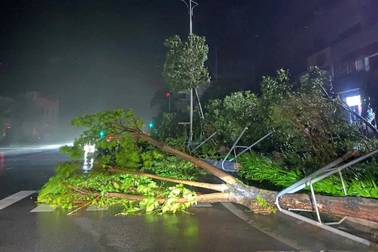 Bão Kajiki quần thảo trong đêm: Gió rít liên hồi, mất điện diện rộng