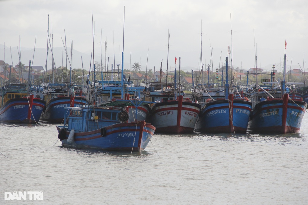 Giá dầu tăng cao, ngư dân lại vật vã bám biển - 1 Giá dầu tăng cao, ngư dân lại vật vã bám biển - 1