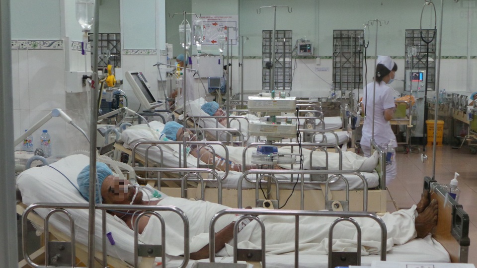 TPHCM: Gần 1.300 khách đã mua pate Minh Chay - 2 TPHCM: Gần 1.300 khách đã mua pate Minh Chay - 2