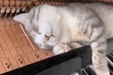 Clip “tâm trạng ngày thứ 6”