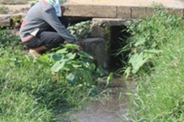 Quảng Trị: Ô nhiễm nghiêm trọng ở làng nghề sản xuất bún