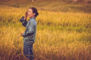 Những khoảnh khắc đẹp của ngày mùa