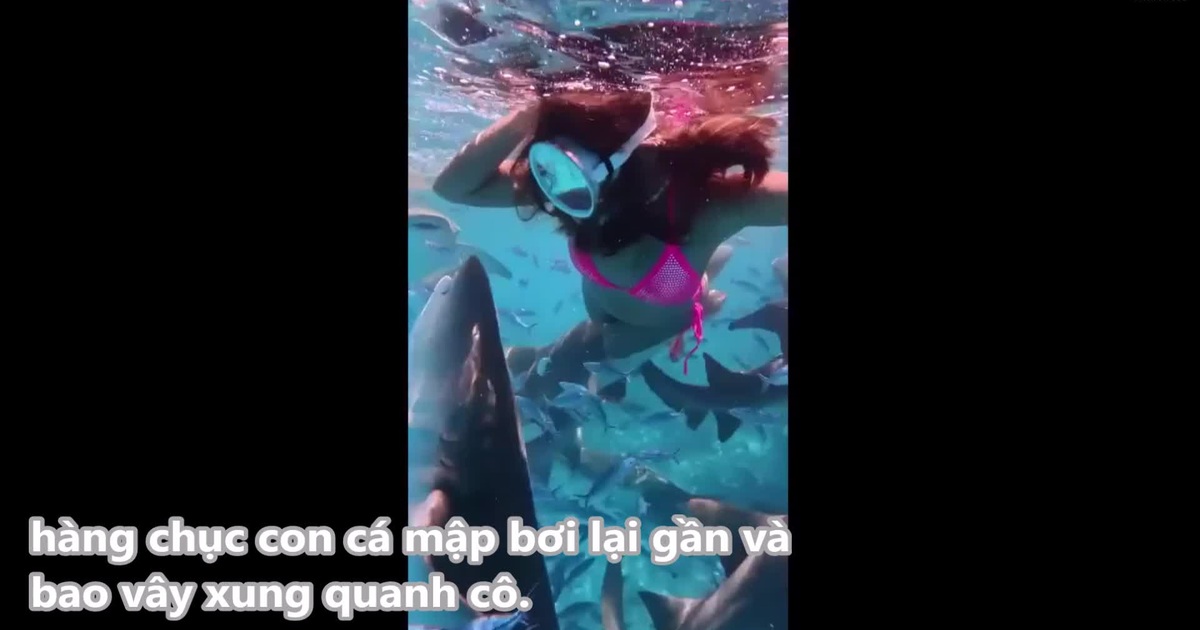 Video: Nữ du khách bất ngờ bị hàng chục con cá mập bao vây trong khi đang lặn biển | Báo Dân trí